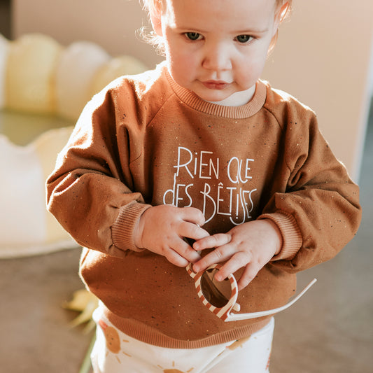 Sweat-shirt camel rien que des bêtises